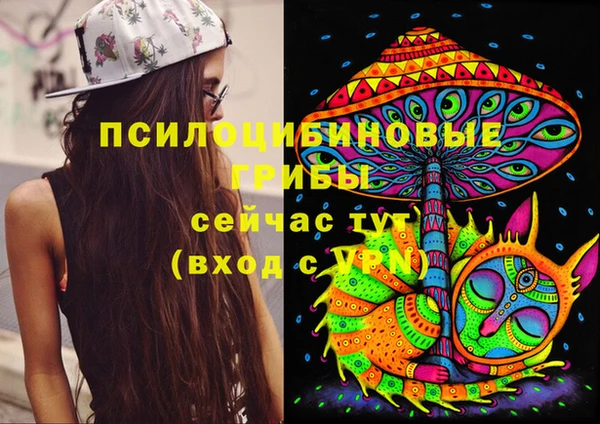 тгк Пересвет