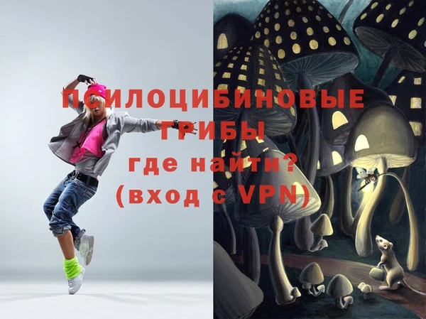 тгк Пересвет