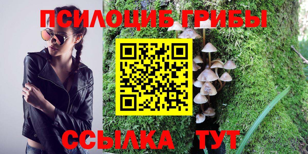 Рыбинск  Псилоцибиновые грибы Magic Shrooms  Вход с VPN  Псилоцибиновые грибы Psilocybe 